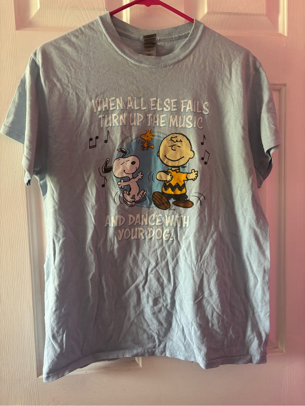 Peanuts Light Blue Short Sleeve Tee with Charlie Brown & Snoopy Graphic Size M